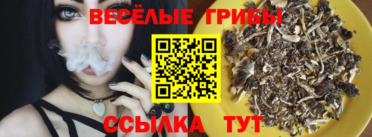 Псилоцибиновые грибы GOLDEN TEACHER Ноябрьск